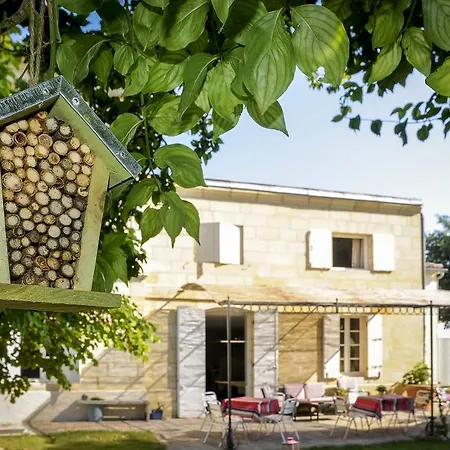 Chateau Franc Grace-dieu Maison d'hôtes Saint-Émilion