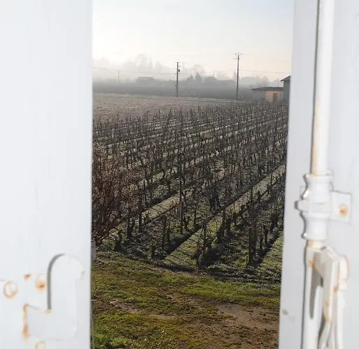 Chateau Franc Grace-dieu סנט-אמיליון